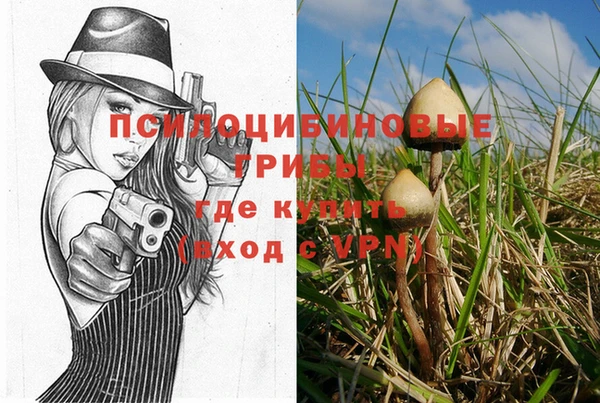бошки Аркадак