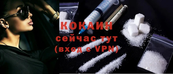 меф Арсеньев