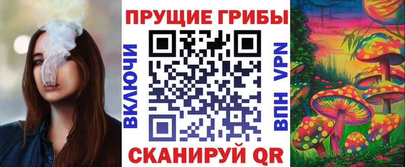 Галлюциногенные грибы ЛСД  Мезень 